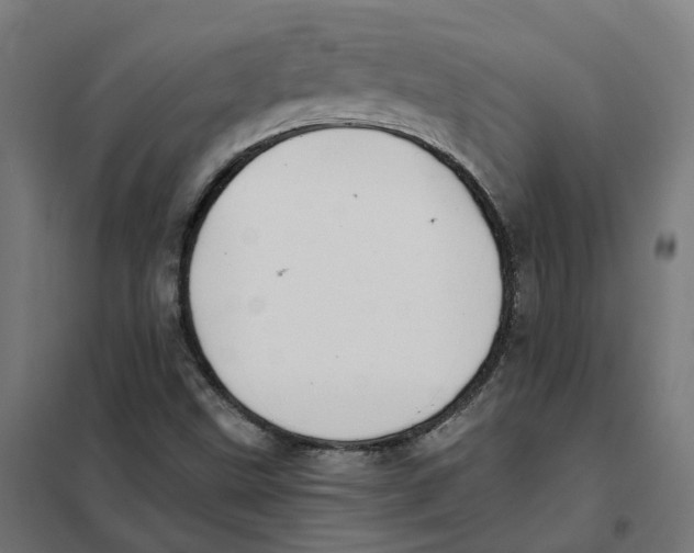 X0000101711499200808071210