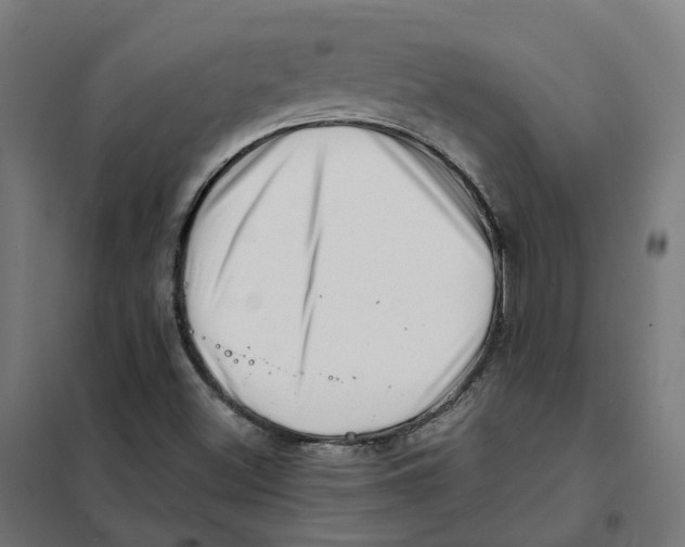 X0000101711500200808071210