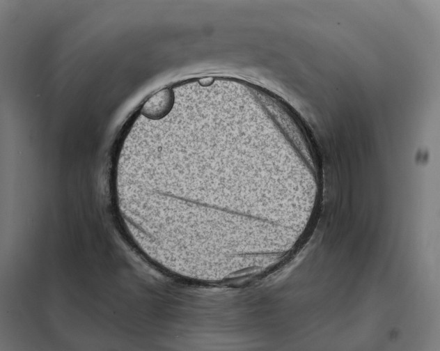 X0000101711502200808071210