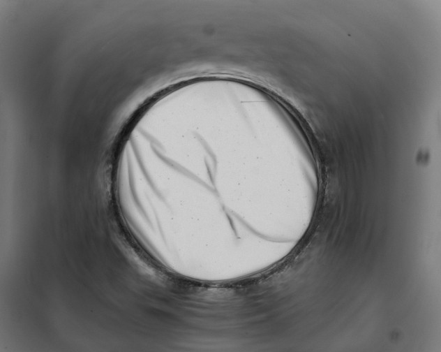 X0000101711503200808071210