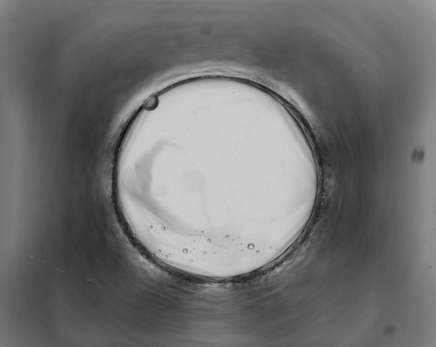X0000101711504200808071210