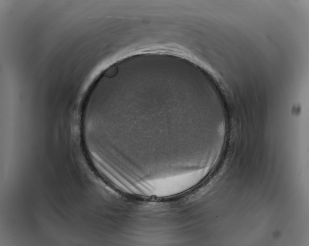 X0000101711506200808071210