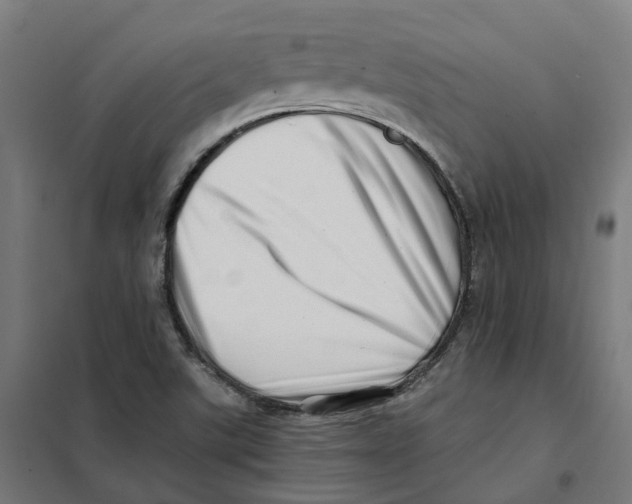 X0000101711507200808071210