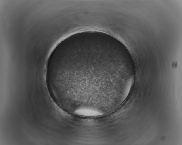 X0000101711508200808071210