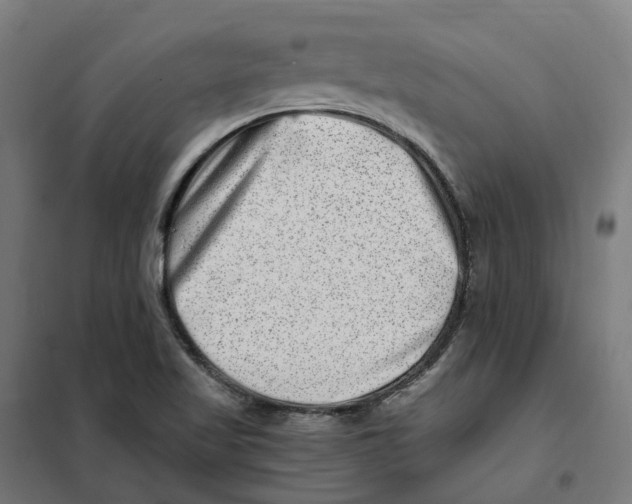 X0000101711509200808071210
