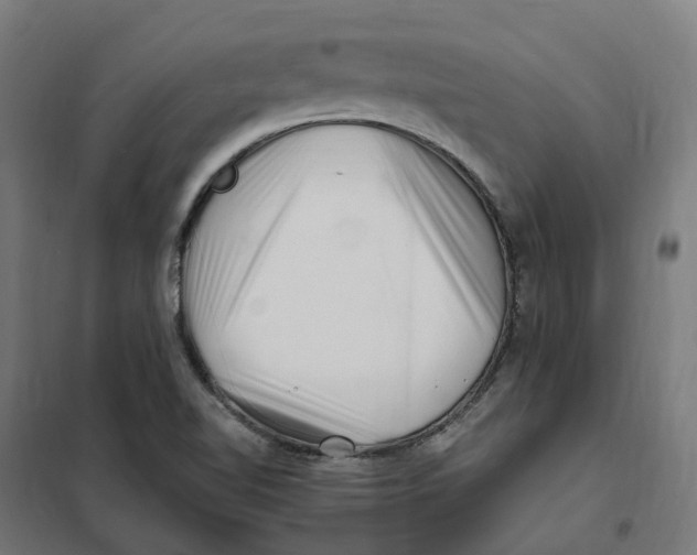 X0000101711510200808071210