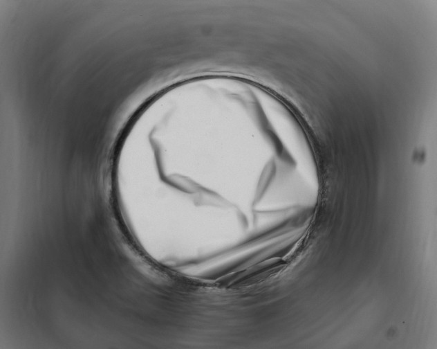 X0000101711511200808071210