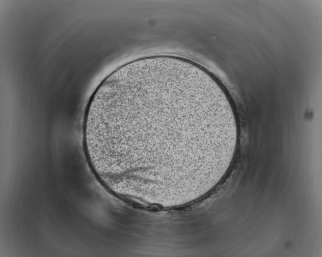 X0000101711512200808071210