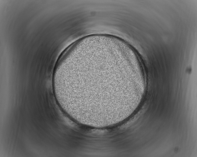 X0000101711513200808071210