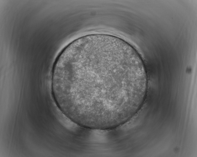 X0000101711514200808071210