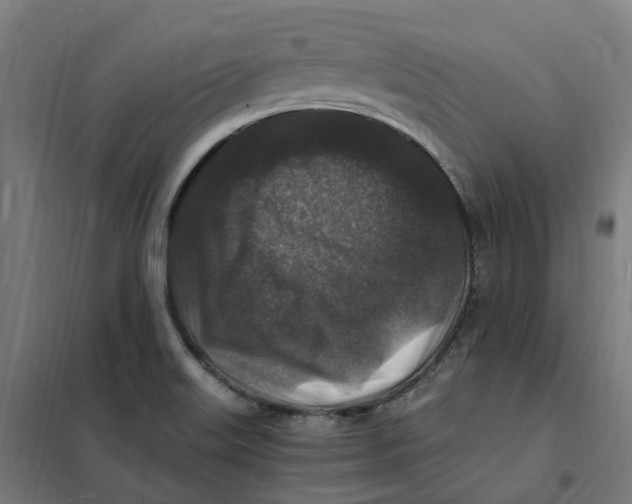 X0000101711515200808071210