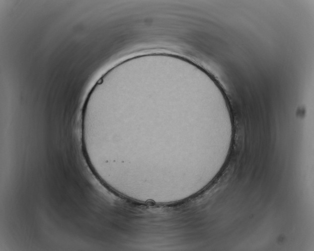 X0000101711516200808071210