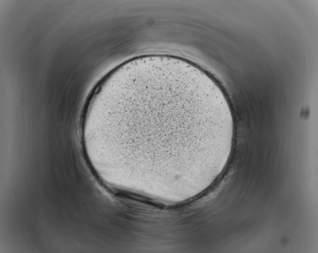 X0000101711517200808071210