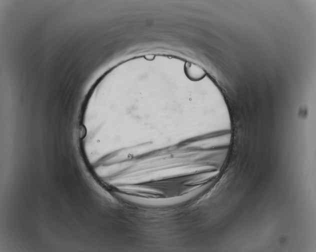 X0000101711518200808071210
