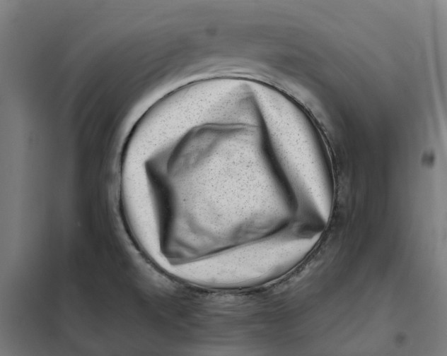 X0000101711520200808071210