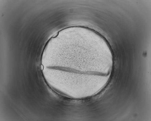 X0000101711521200808071210
