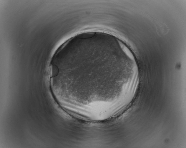 X0000101711522200808071211