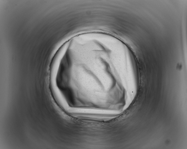 X0000101711524200808071211