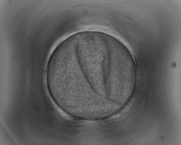 X0000101711525200808071211