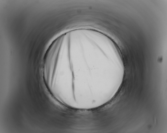 X0000101711526200808071211