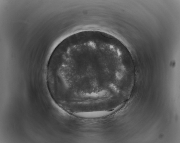 X0000101711527200808071211