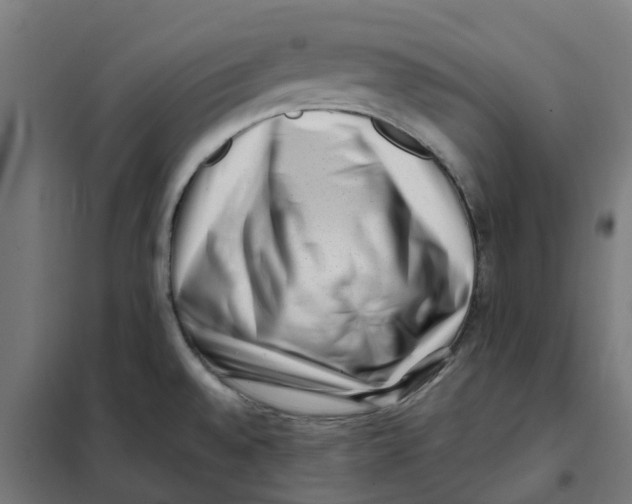 X0000101711528200808071211