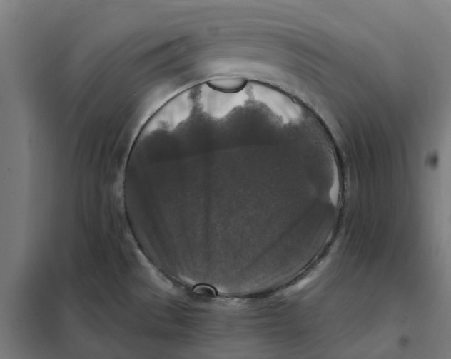 X0000101711529200808071211