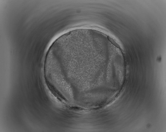 X0000101711530200808071211
