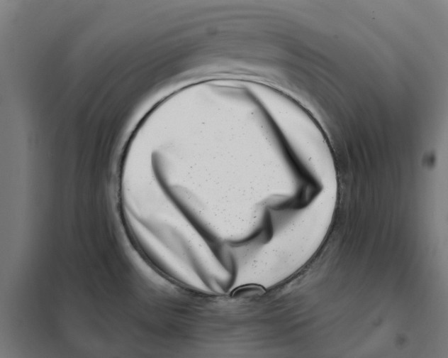 X0000101711531200808071211