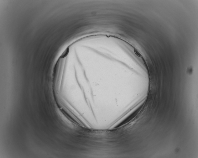 X0000101711532200808071211