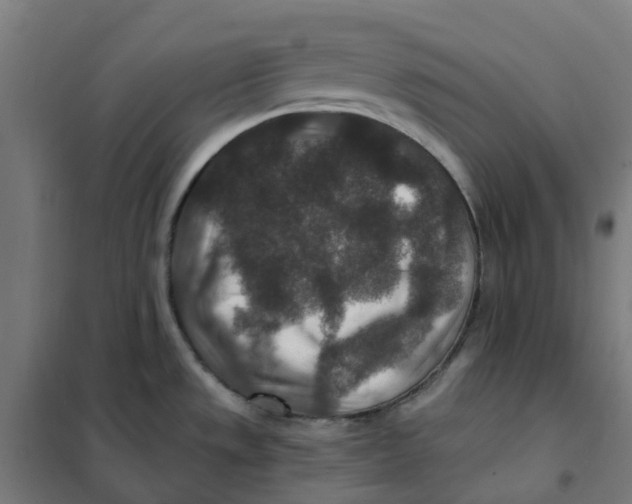 X0000101711533200808071211