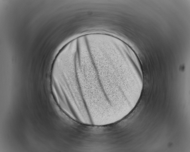 X0000101711534200808071211