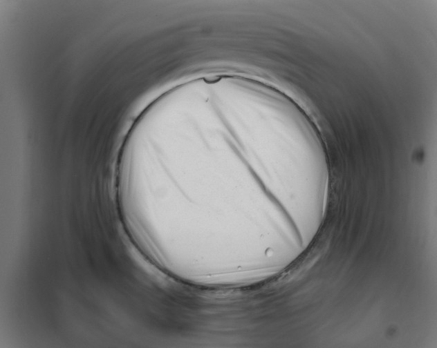 X0000101711535200808071211