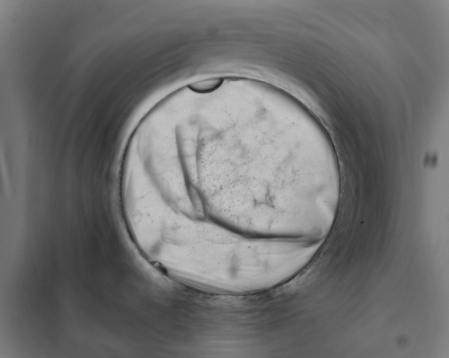 X0000101711536200808071211