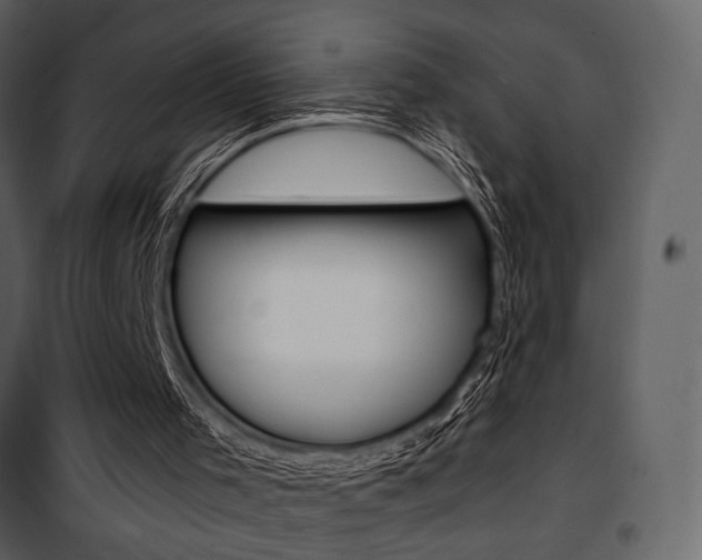 X0000101950001200807171144