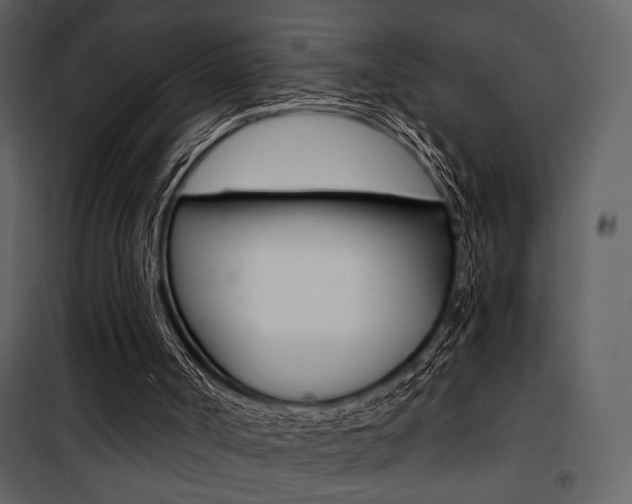 X0000101950002200807171144