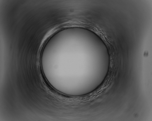 X0000101950004200807171144