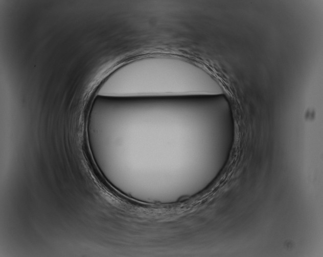 X0000101950005200807171144