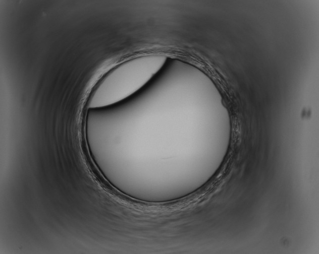 X0000101950006200807171144