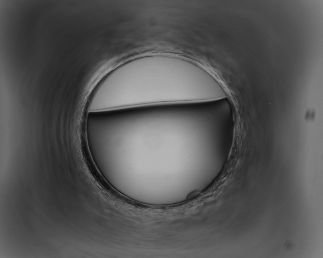 X0000101950007200807171144