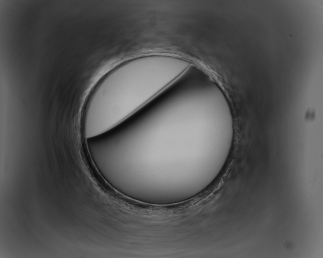 X0000101950008200807171144