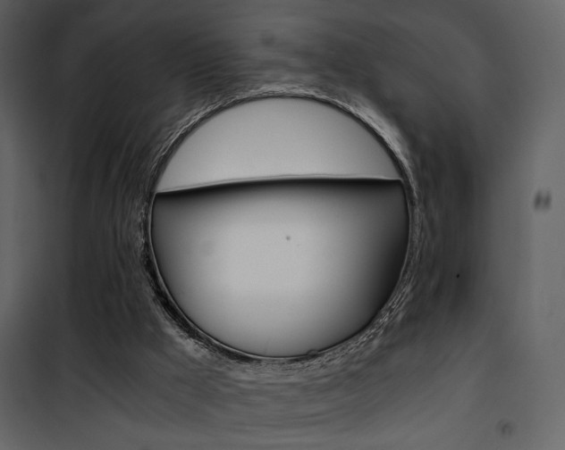 X0000101950009200807171144