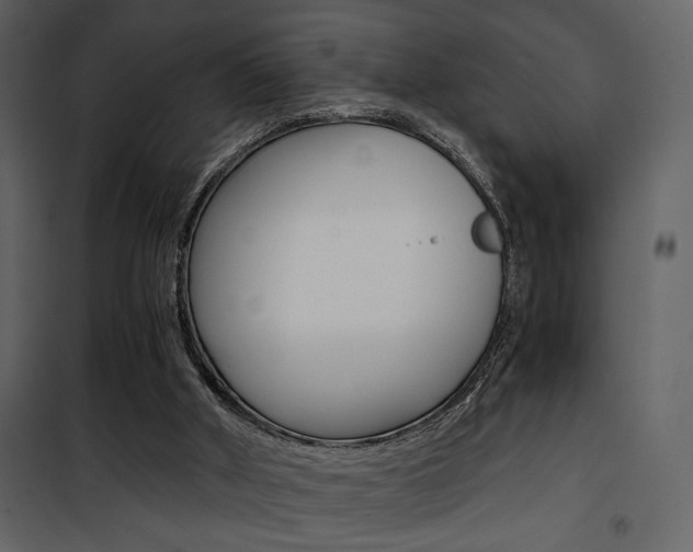 X0000101950010200807171144