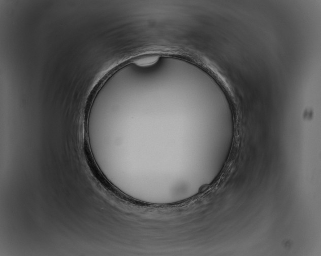 X0000101950011200807171144