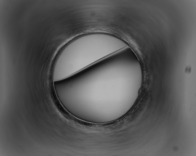 X0000101950012200807171144