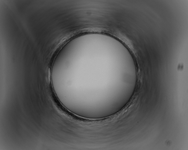 X0000101950013200807171144