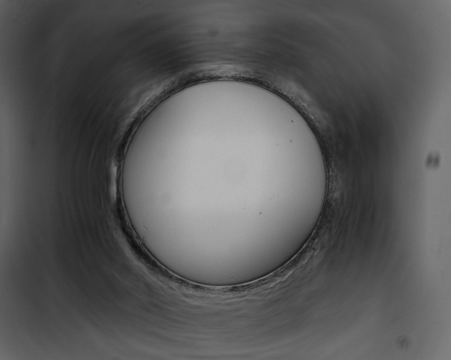 X0000101950014200807171144