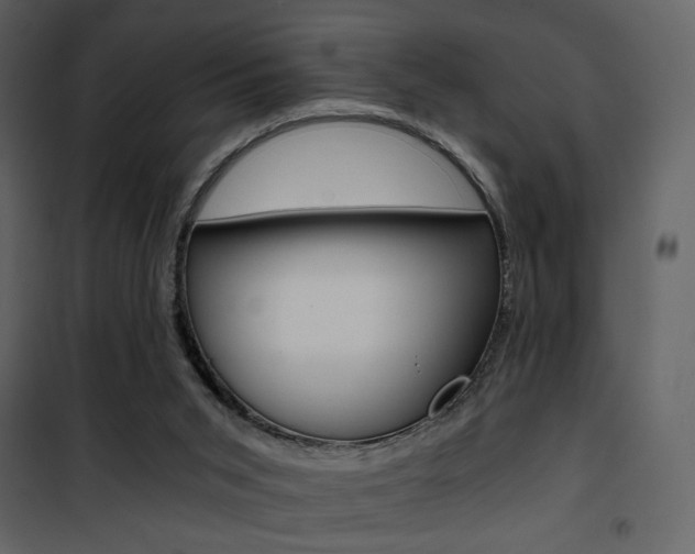 X0000101950015200807171144