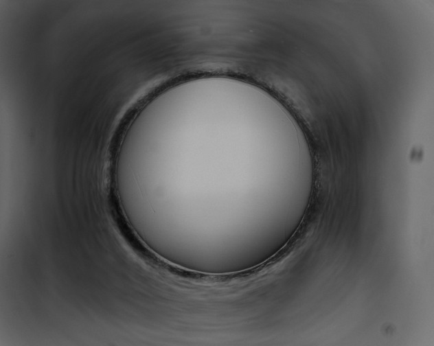 X0000101950016200807171144