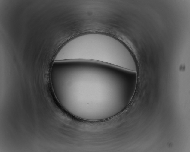 X0000101950017200807171144